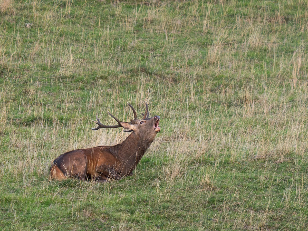 06102025-06 10 25 (19).jpg